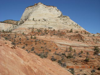 100 6ev. Zion National Park - slickrock hill