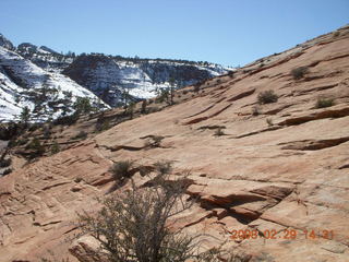 103 6ev. Zion National Park - slickrock hill