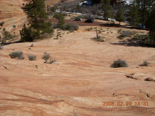 104 6ev. Zion National Park - slickrock hill