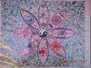 Jerry taking pictures in N4372J