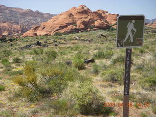 55 6gs. Snow Canyon - Hidden Pinyon trail