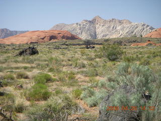 56 6gs. Snow Canyon - Hidden Pinyon trail
