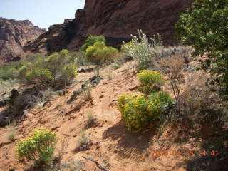 71 6gs. Snow Canyon - Hidden Pinyon trail