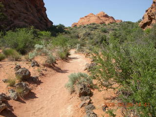 72 6gs. Snow Canyon - Hidden Pinyon trail