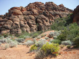 73 6gs. Snow Canyon - Hidden Pinyon trail