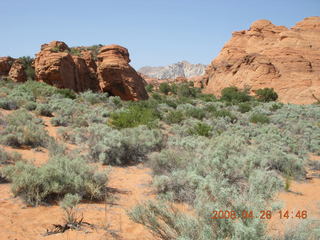 75 6gs. Snow Canyon - Hidden Pinyon trail