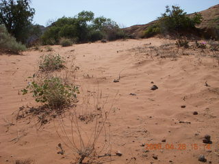 103 6gs. Snow Canyon - Petrified Dunes trail