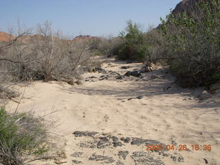 143 6gs. Snow Canyon - sandy Lava Flow trail