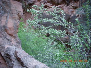 13 6gt. Zion National Park - Angels Landing hike