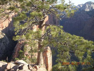 28 6gt. Zion National Park - Angels Landing hike