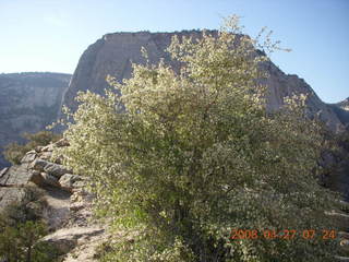 33 6gt. Zion National Park - Angels Landing hike