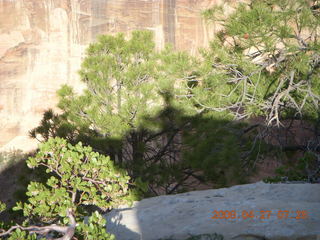 42 6gt. Zion National Park - Angels Landing hike