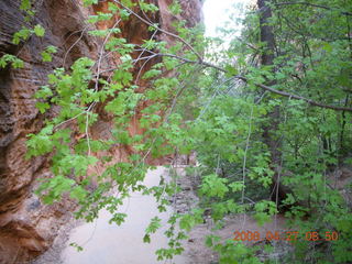 85 6gt. Zion National Park - Angels Landing hike - Refrigerator Canyon