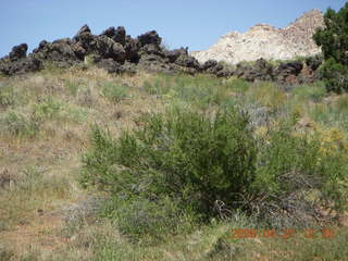 111 6gt. Snow Canyon - Butterfly trail