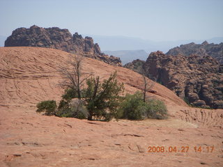 215 6gt. Snow Canyon - Petrified Dunes
