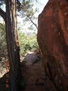 224 6gt. Snow Canyon - Petrified Dunes