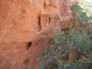 225 6gt. Snow Canyon - Petrified Dunes
