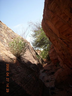 230 6gt. Snow Canyon - Petrified Dunes
