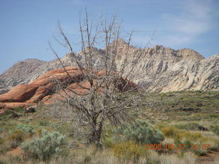 255 6gt. Snow Canyon - Petrified Dunes
