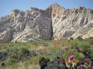 259 6gt. Snow Canyon - Lava Flow trail