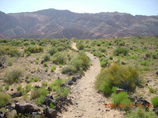 262 6gt. Snow Canyon - Lava Flow trail