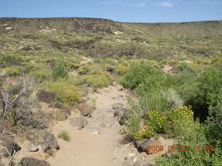 334 6gt. Snow Canyon - Butterfly trail