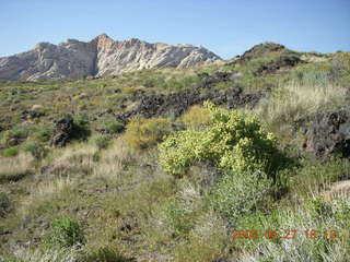 338 6gt. Snow Canyon - Butterfly trail