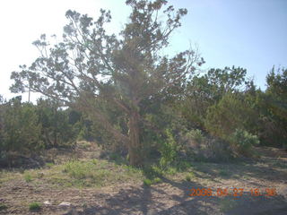 340 6gt. near Kathe's place in Central, Utah