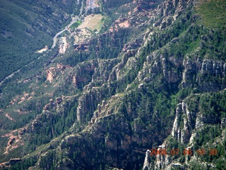 flower near Flagstaff