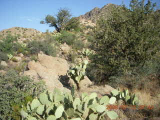 Bagdad Airport (E51) run