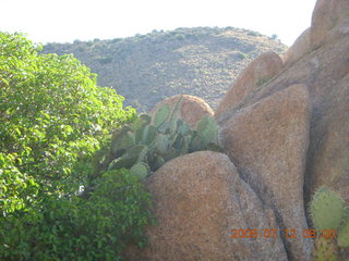 Bagdad Airport (E51) run