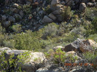 Bagdad Airport (E51) run