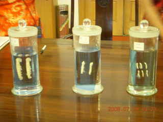 240 6kv. eclipse - Shanghai - silkworms