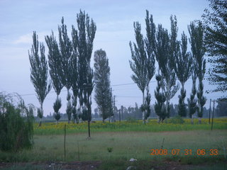 26 6kx. eclipse - Jiuquan - morning run - tall trees