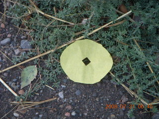 30 6kx. eclipse - Jiuquan - morning run - funeral flower petal