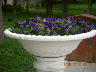 120 6kx. eclipse - Jiuquan park flowers