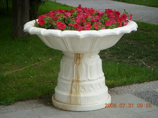 121 6kx. eclipse - Jiuquan  park flowers