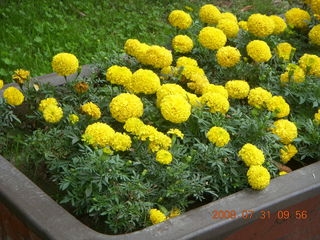 122 6kx. eclipse - Jiuquan park flowers