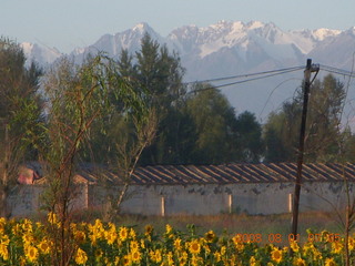 51 6l1. eclipse - Jiuquan morning run - mountains and sunflowers