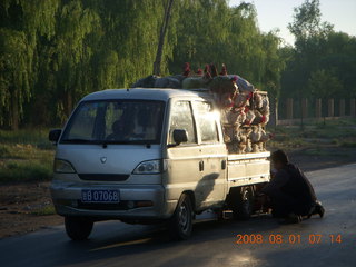 54 6l1. eclipse - Jiuquan morning run - chickens and a flat tire
