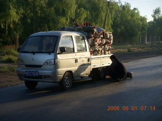 58 6l1. eclipse - Jiuquan morning run- chickens and a flat tire