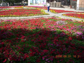 103 6l1. eclipse - Jiuquan flowers