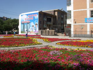 104 6l1. eclipse - Jiuquan flowers