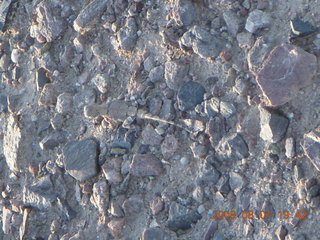 302 6l1. eclipse - Jiayuguan - Gobi Desert - afterward- lizard