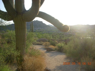 eclipse - Jiuquan - morning run - truck with pigs
