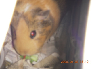 test picture - my keyboard