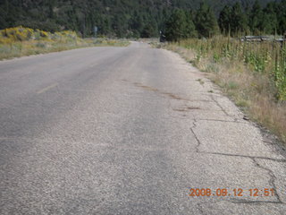road on the way to Pine Valley, Utah