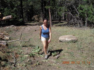 road on the way to Pine Valley, Utah