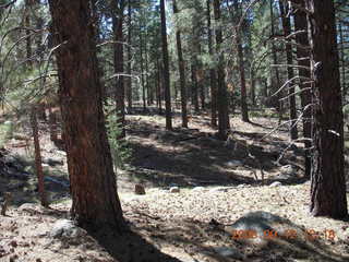 road on the way to Pine Valley, Utah