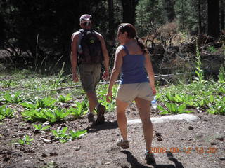 hiking at Pine Valley, Utah